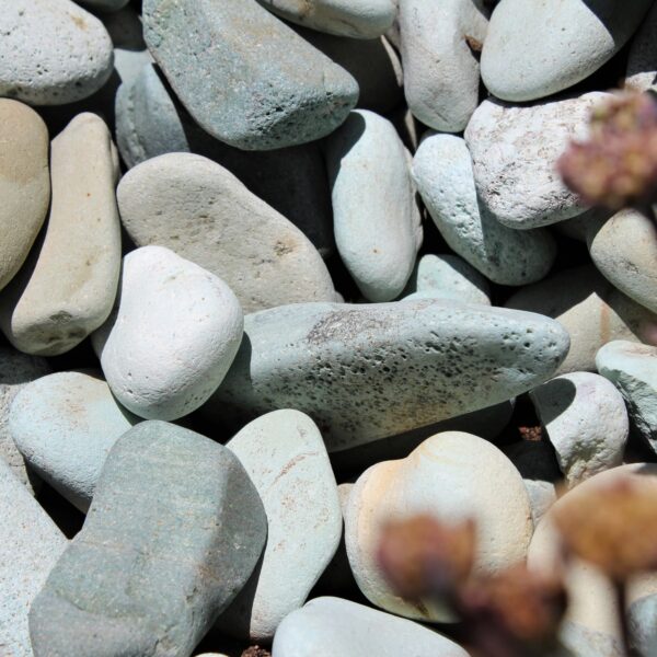 Rock Gardens