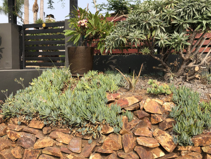 Baja-Cresta-Red-Rubble-3