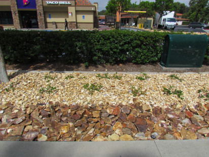 gallery-gc-Taco-Bell-MV-6