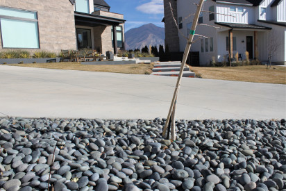 Black-Mexican-Beach-Pebbles-17