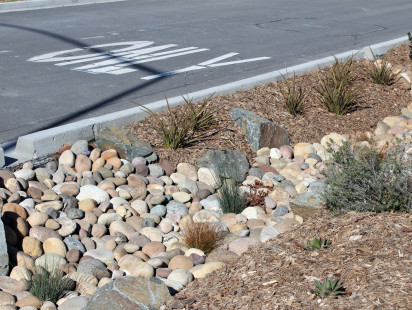 Curran-Cobble-5
