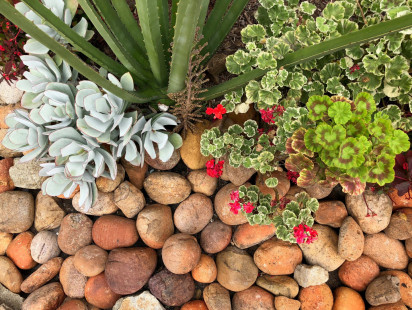 Mexican-Sunburst-Pebble-5-1