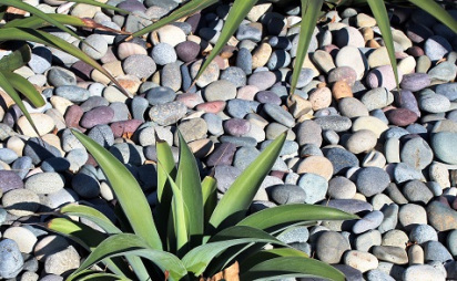 Mixed-Beach-Pebbles-2