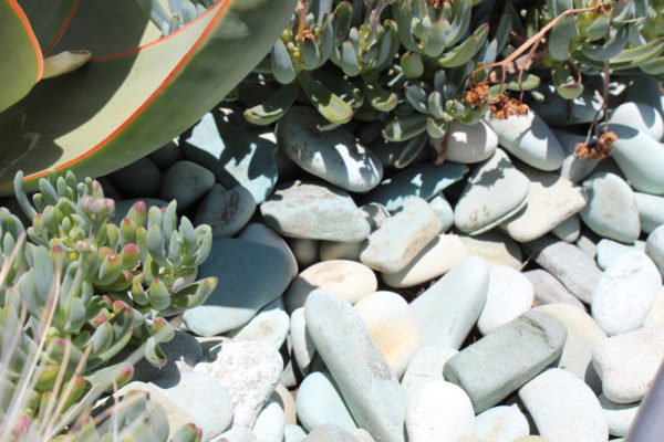 Aqua Pebble - Wholesale Stone Solutions