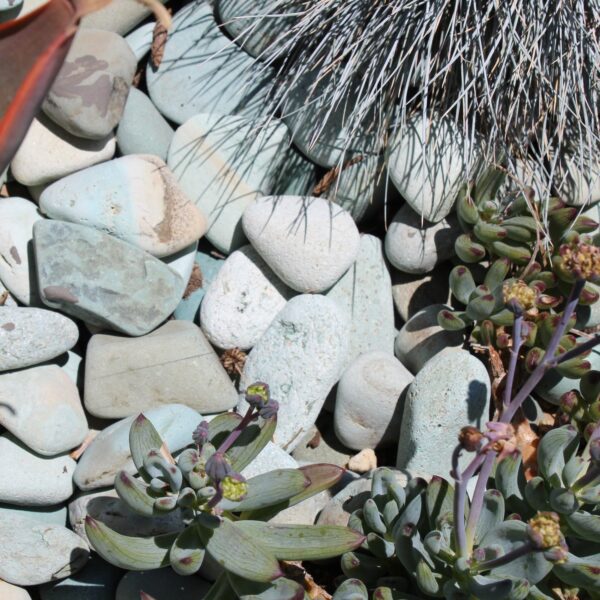 Aqua Pebble Landscape Stone