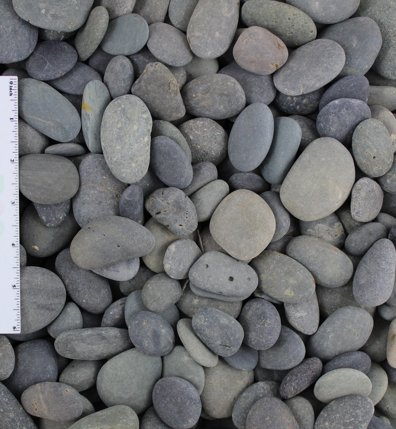 Black Beach Pebble - 1/2 to 1 inch