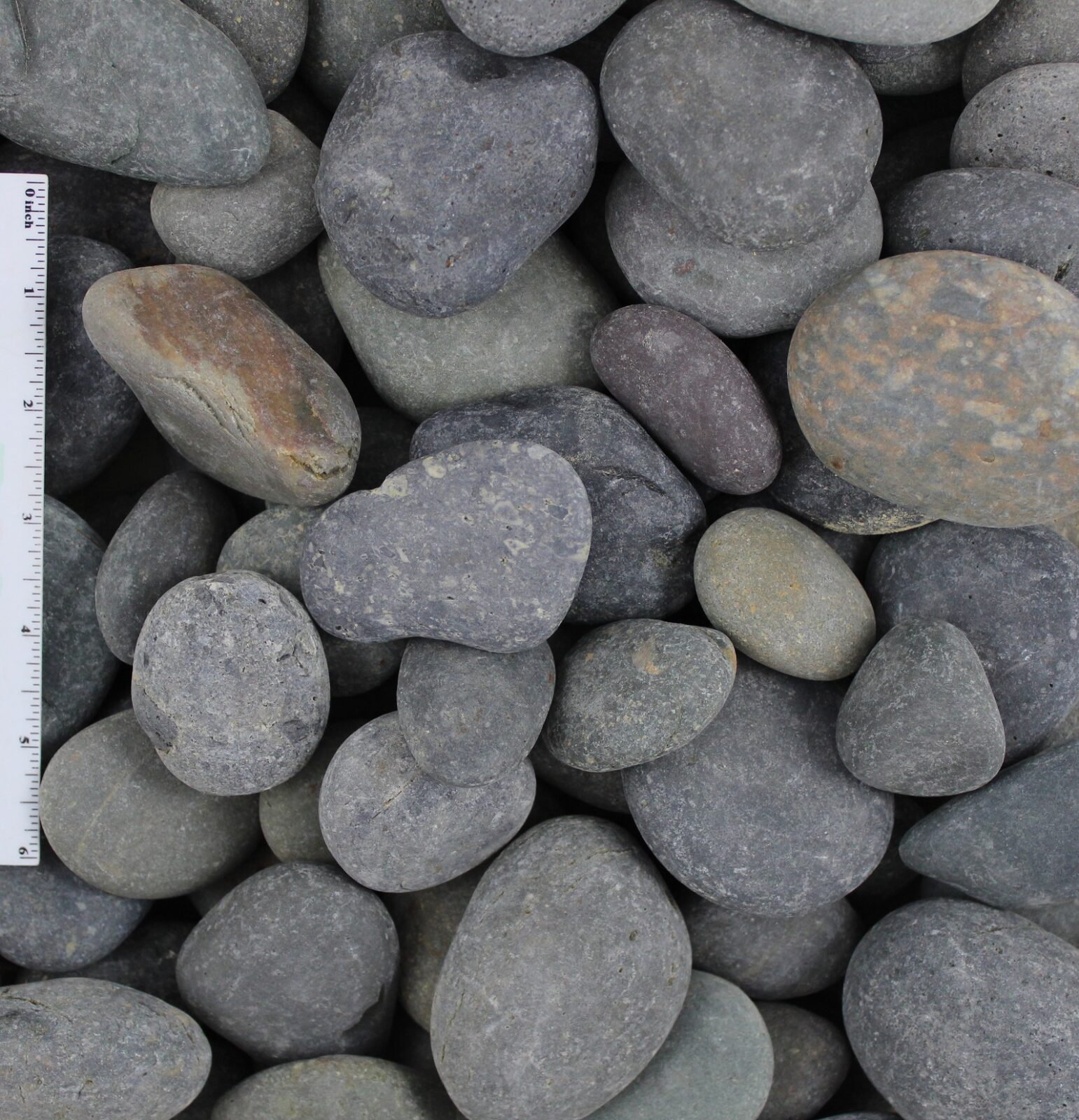 Black Beach Pebble - 1 to 2 inch Black Beach Pebble - 1 to 2 inch