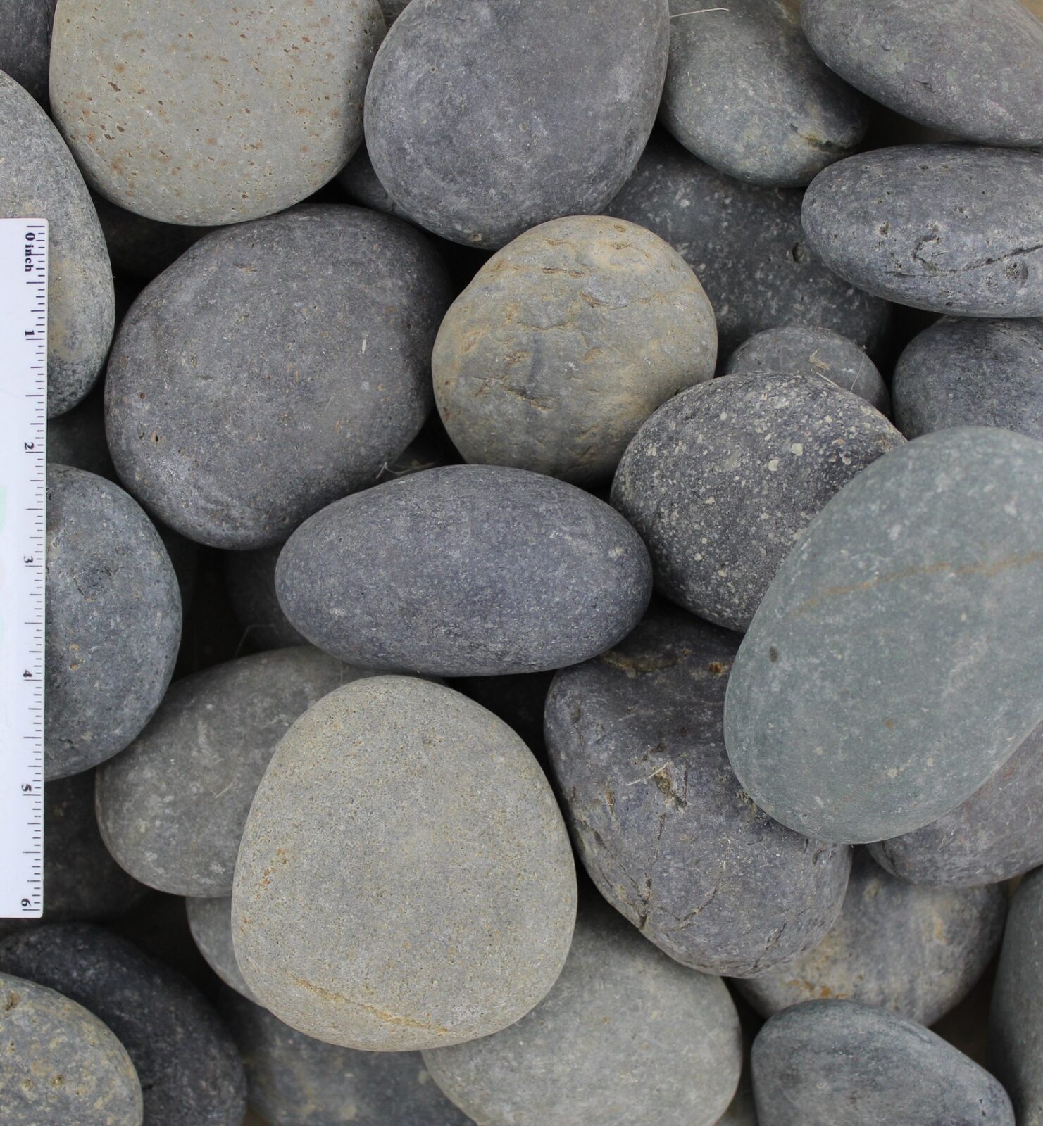 Black Beach Pebble - 2 to 3 inch
