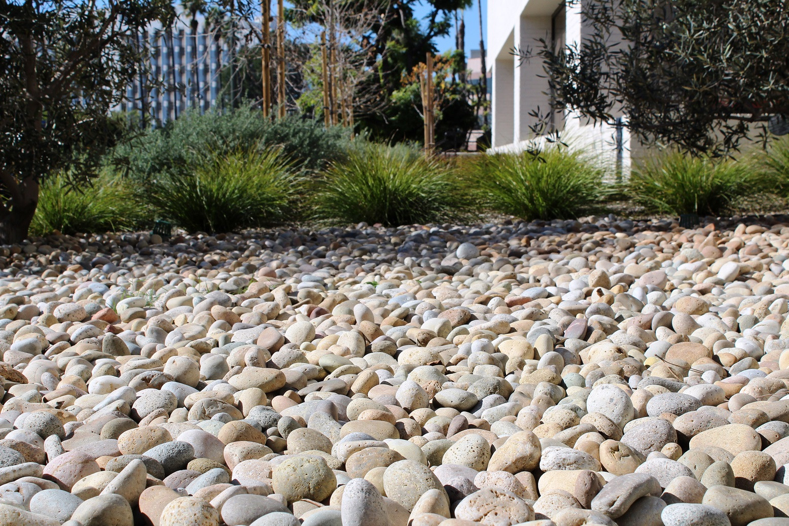 Buff Mexican Beach Pebble