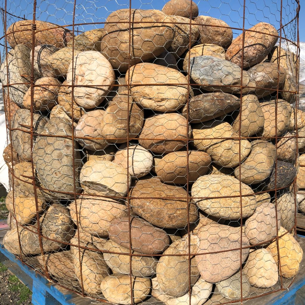 Curran Cobble 6