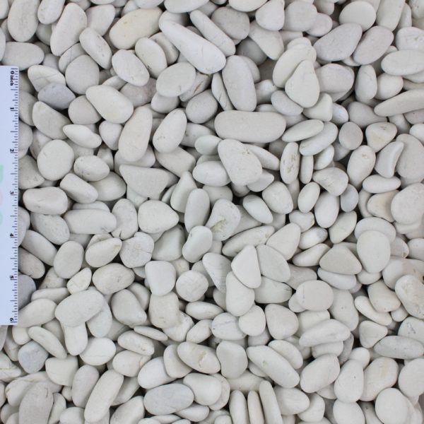 Ivory Pebble 1/2 Ivory Pebble 1/2
