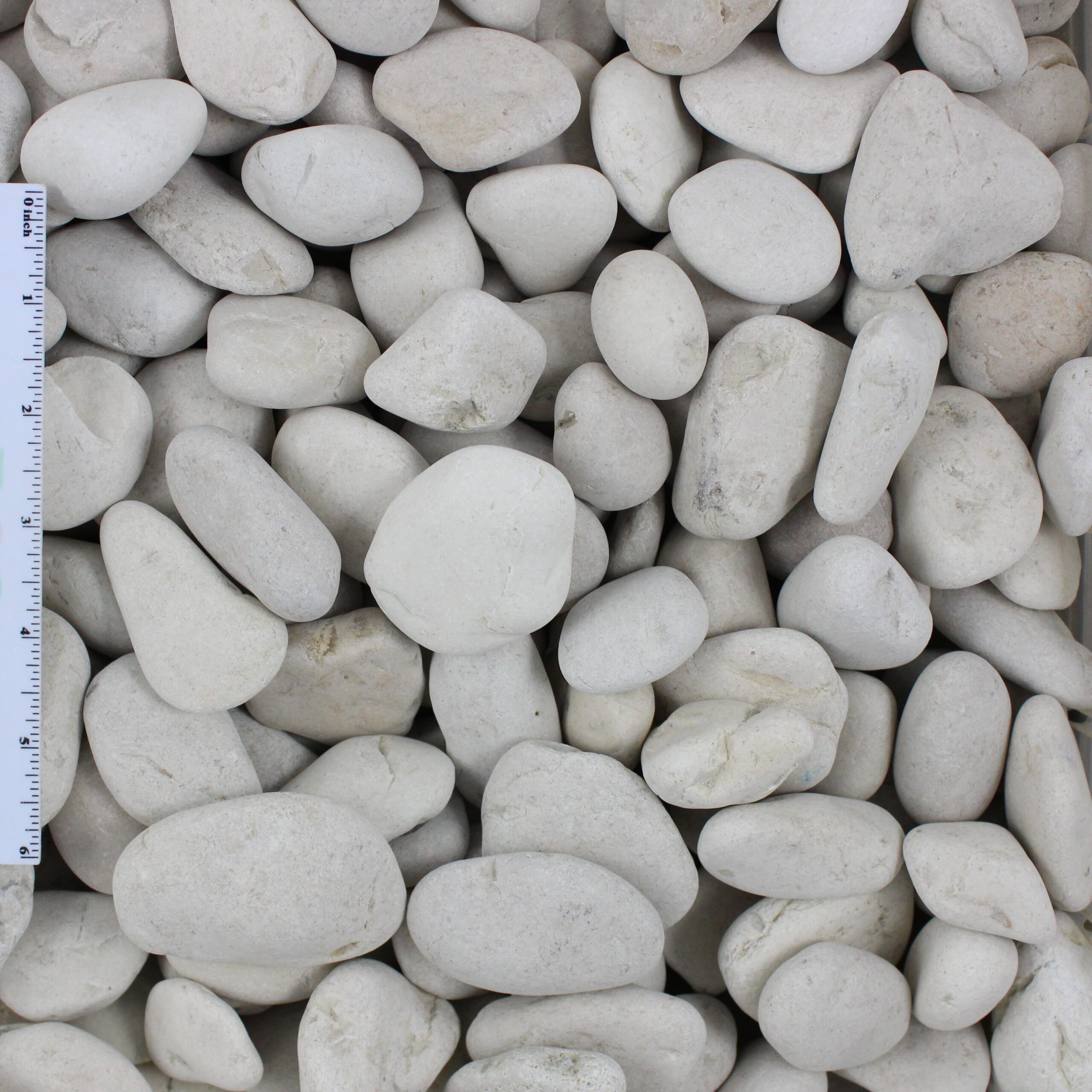 Ivory Pebble 1