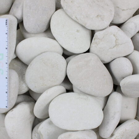 Ivory Pebble 3"-5"