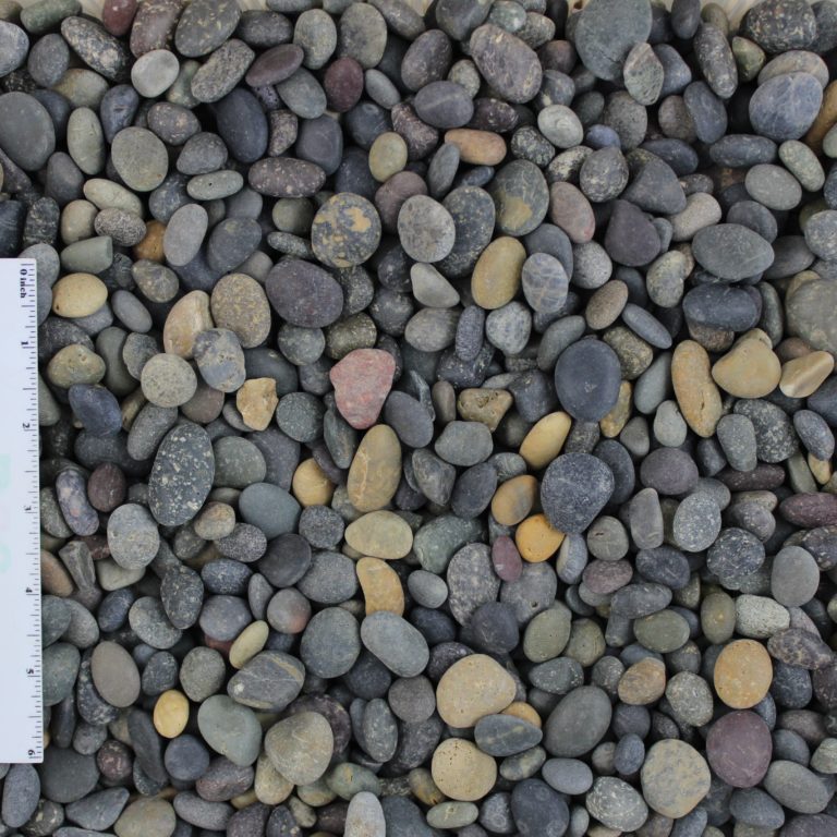 La Paz Pebble - 3/8 to 5/8 inch