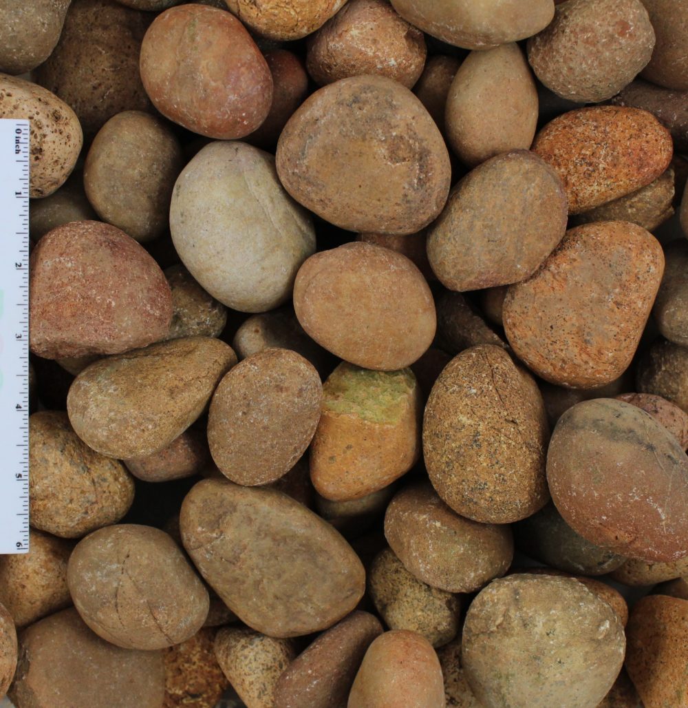 Mexican Sunburst Pebbles 1 Mexican Sunburst Pebbles 1