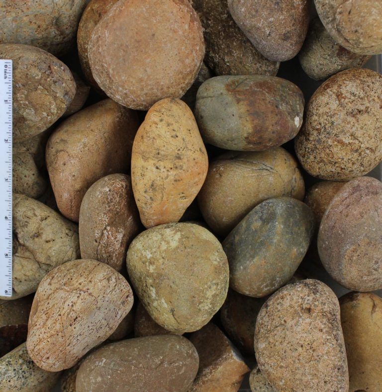 Mexican Sunburst Pebbles 2 Mexican Sunburst Pebbles 2