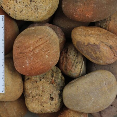 Mexican Sunburst Cobble