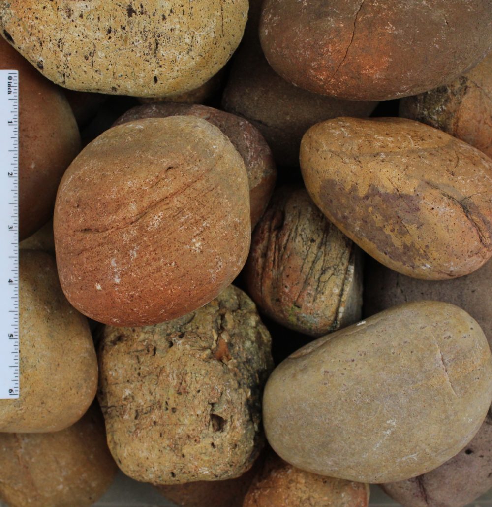 Mexican Sunburst Pebbles  3