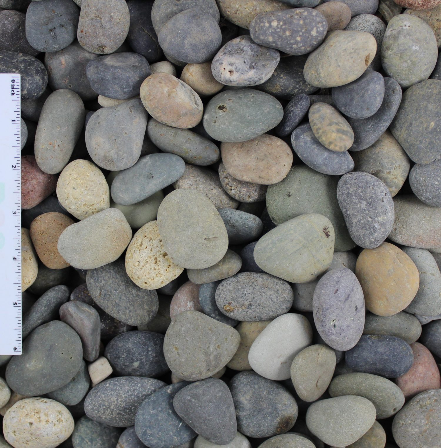 Mixed Beach Pebbles 1/2