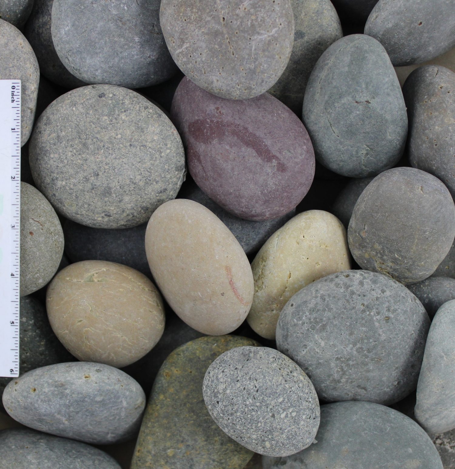 Mixed Beach Pebbles 2 Mixed Beach Pebbles 2