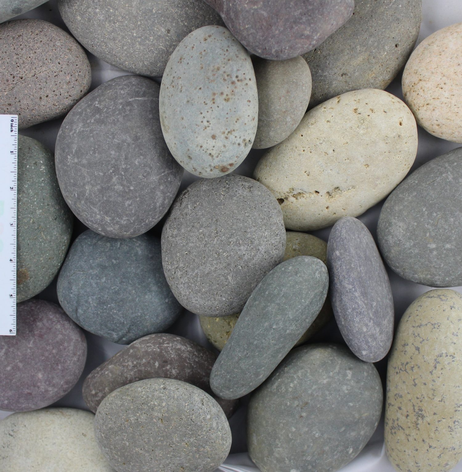 Mixed Beach Pebbles 3 Mixed Beach Pebbles 3