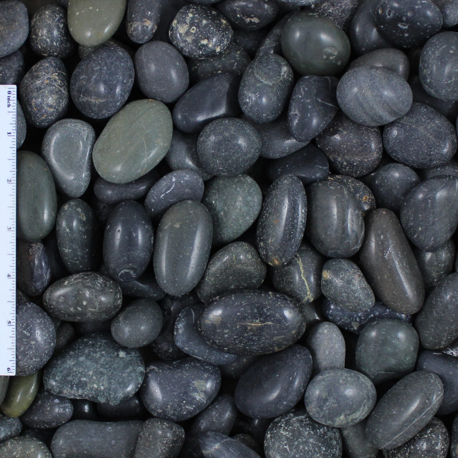 Polished Black Mexican Beach Pebble 1/2 Polished Black Mexican Beach Pebble 1/2