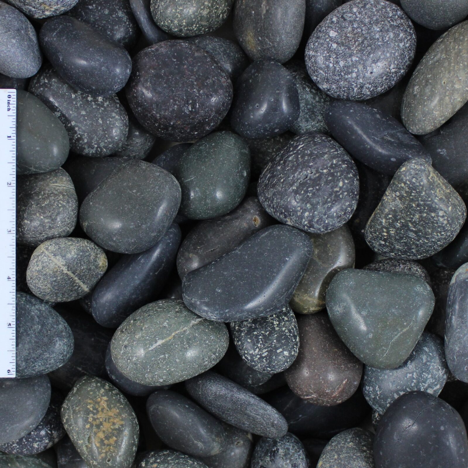Polished Black Mexican Beach Pebble 1