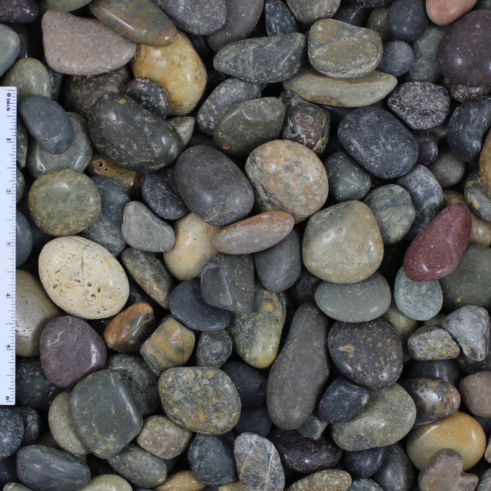 Polished Mixed Mexican Beach Pebble 1/2