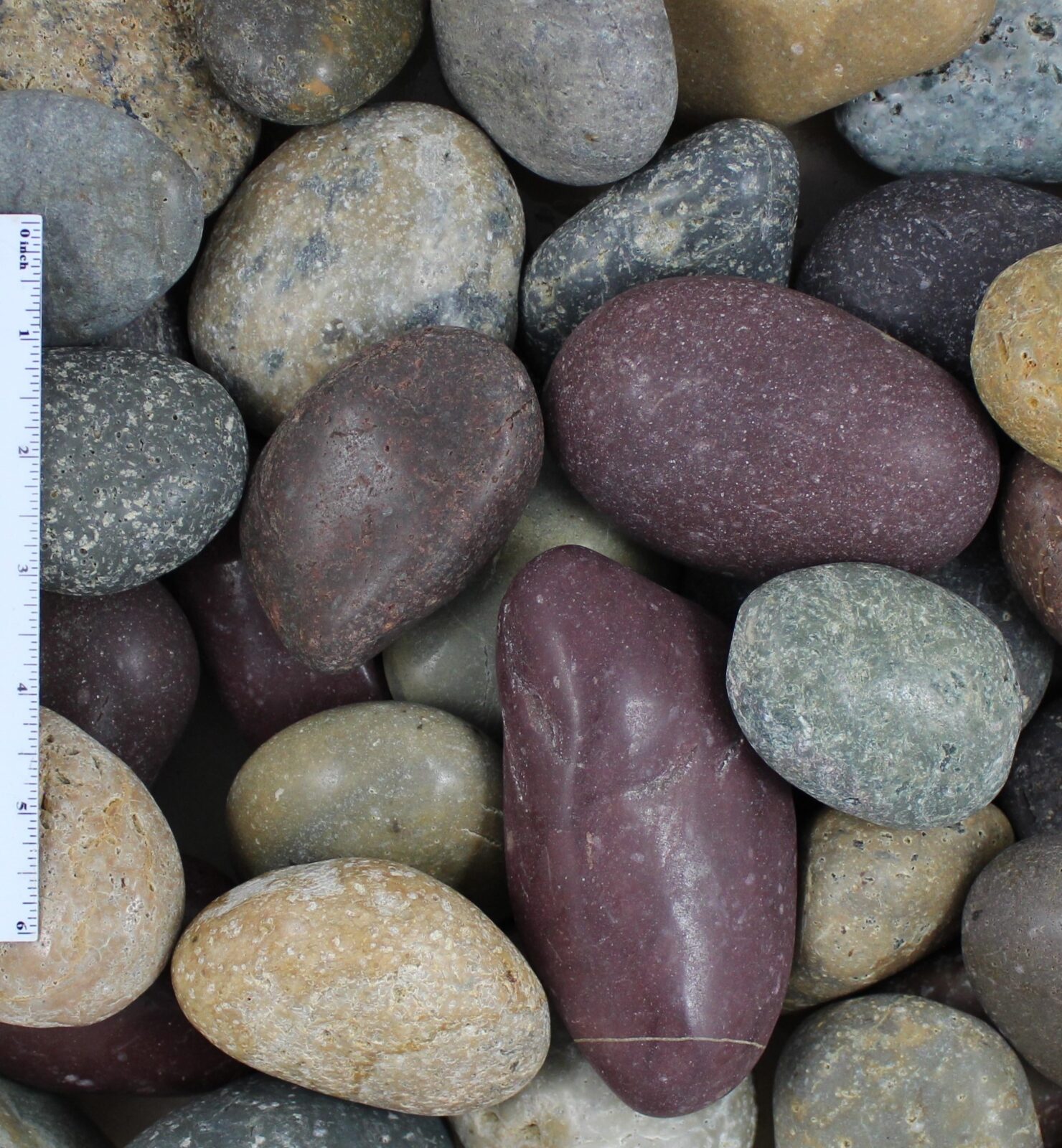 Polished Mixed Mexican Beach Pebble 2 Polished Mixed Mexican Beach Pebble 2
