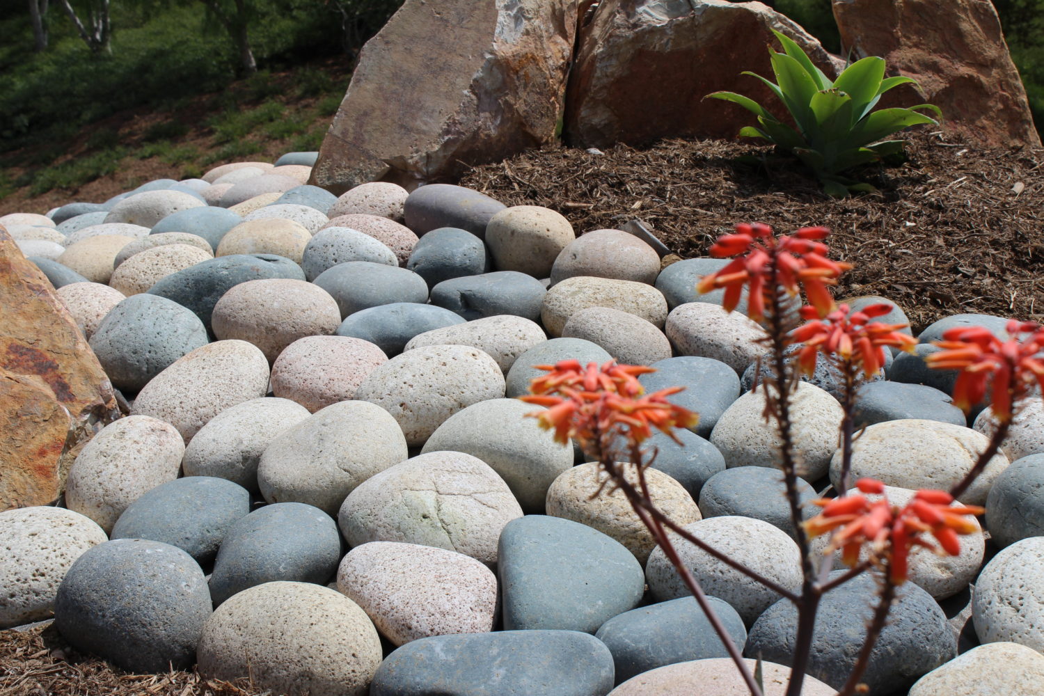 Mixed Beach Pebbles - Pineapple 6