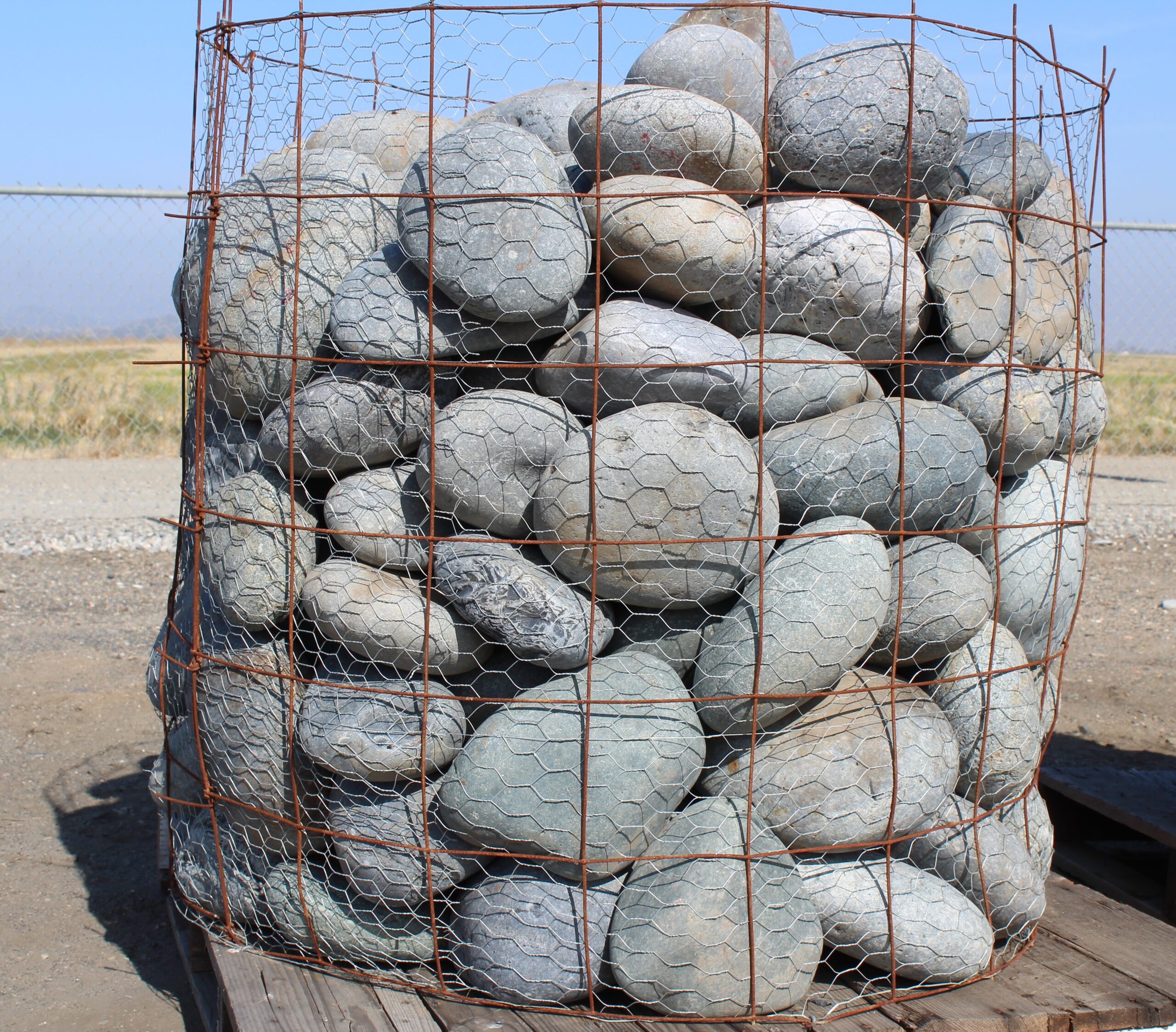 Black Beach Pebble - Pineapple 8
