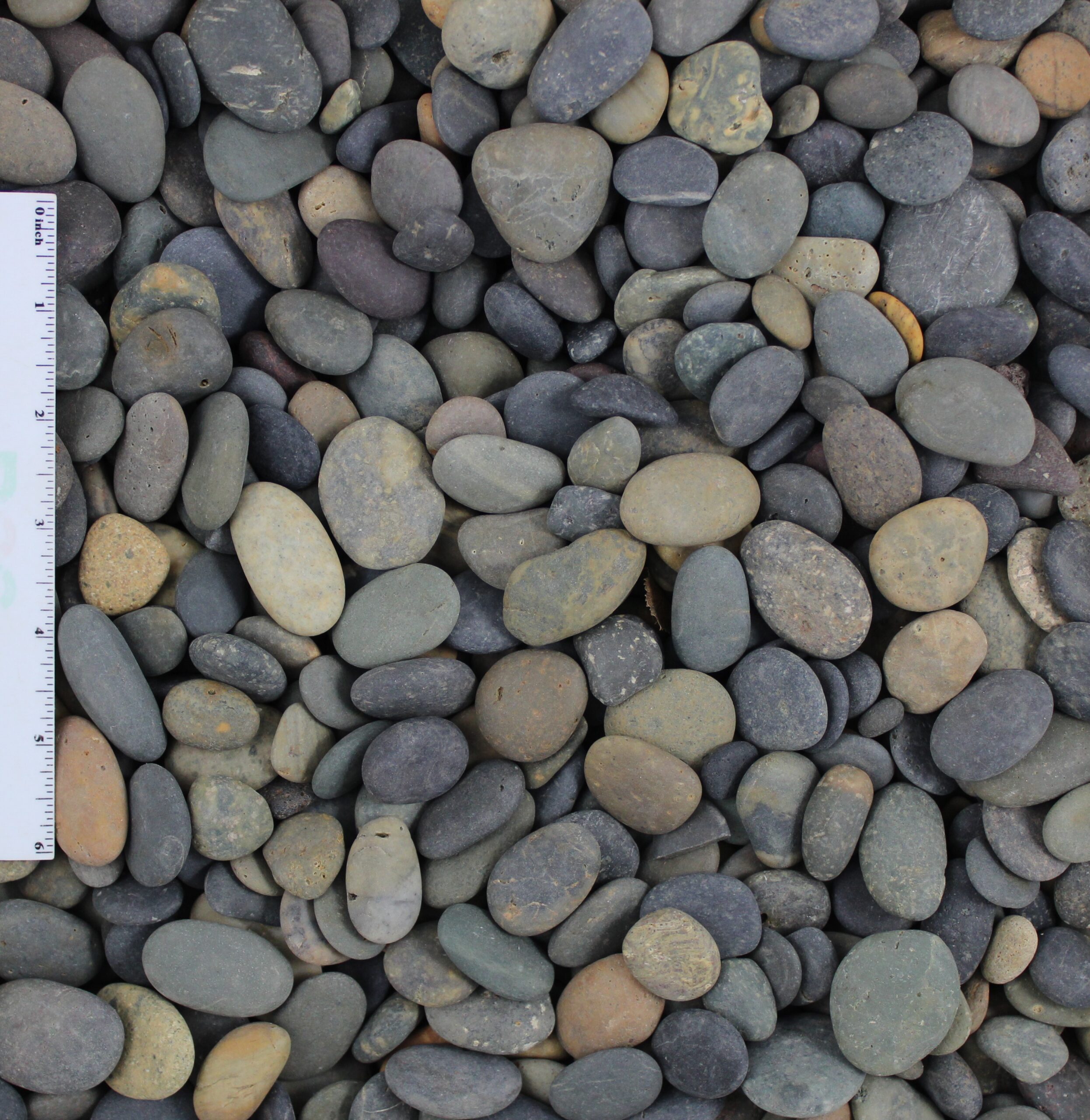 Mixed Beach Pebble Buttons