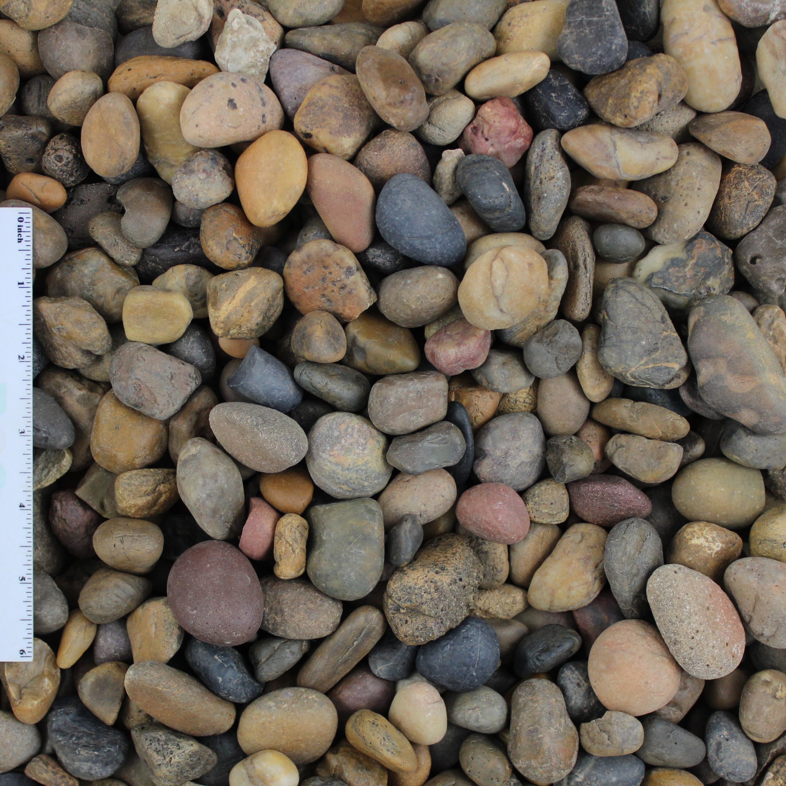 Sonora Shine Pebble - 1/2 to 1 inch