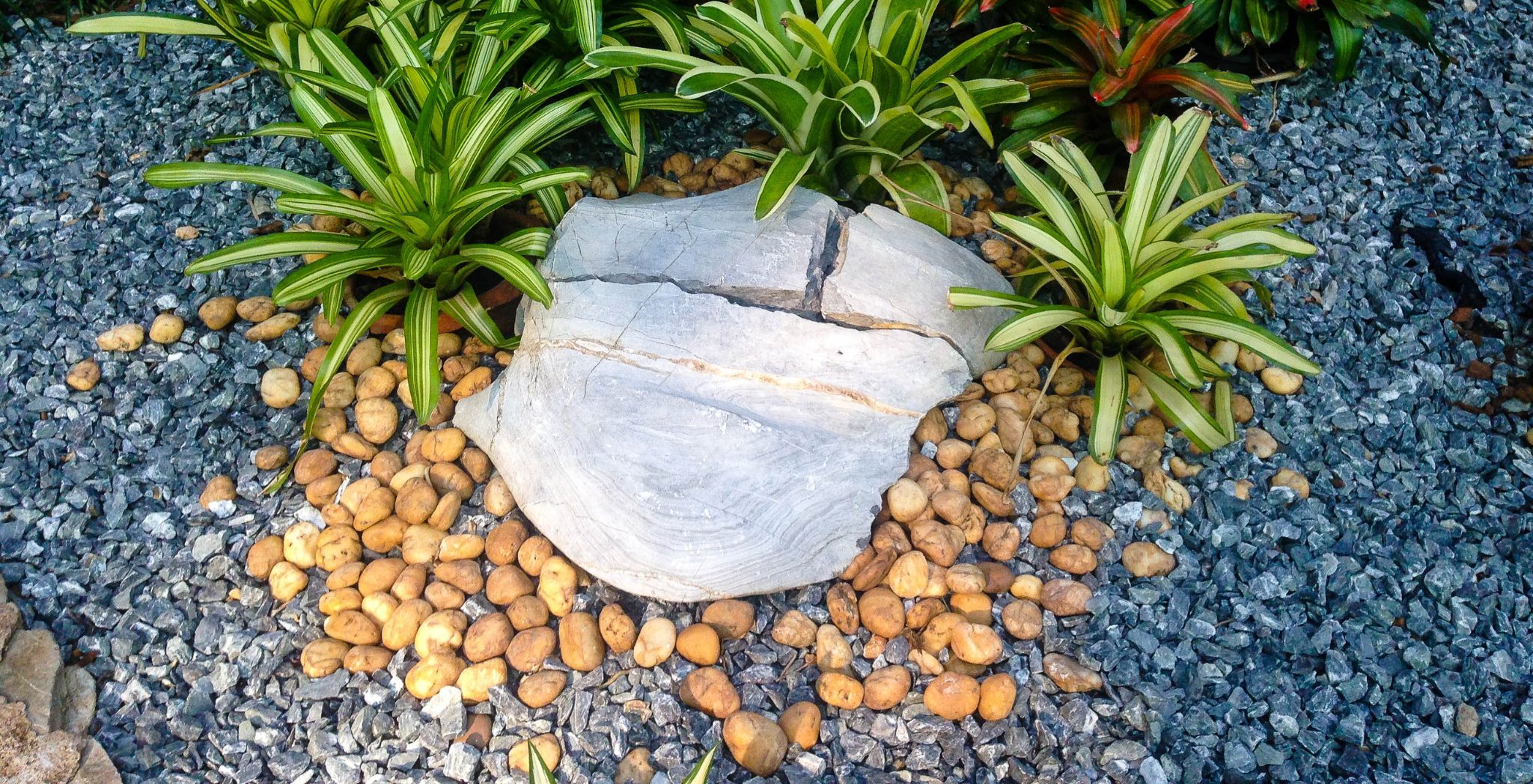 Landscape Border Rocks