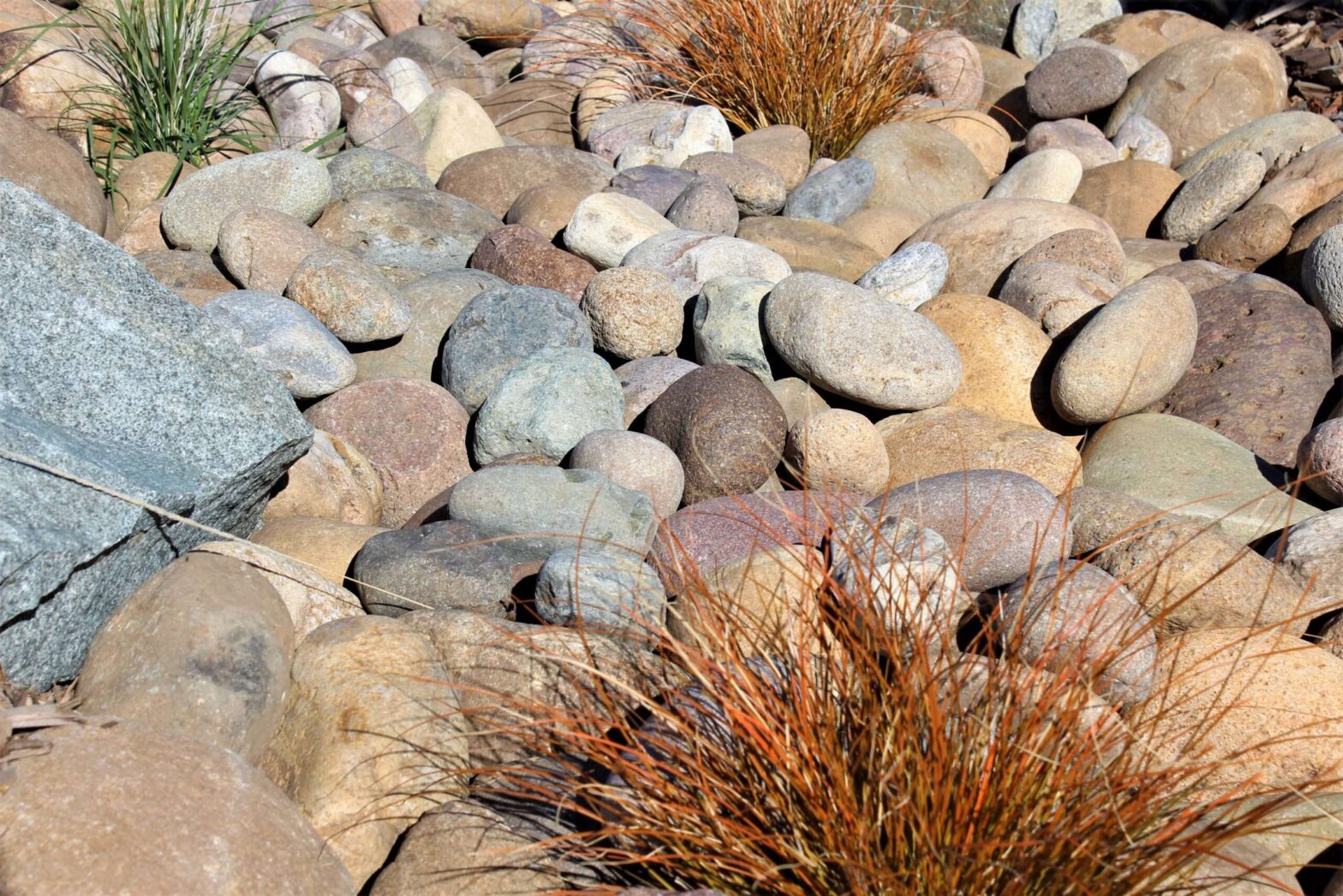Curran-Cobble-5