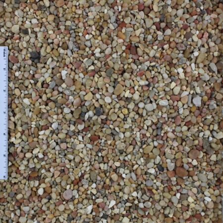 Jelly Bean 1/4"