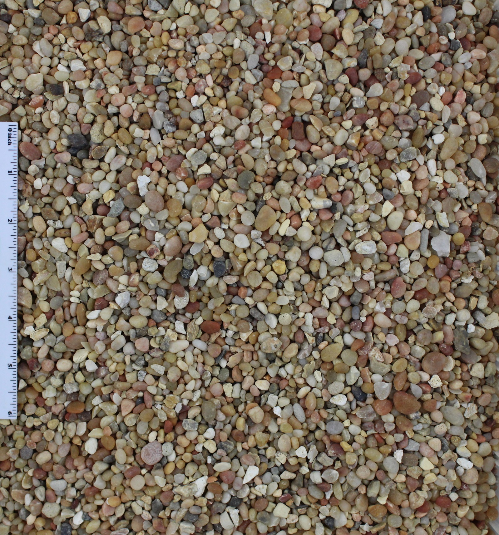 Salmon Bay Pebble 1/4