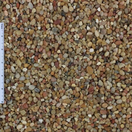Salmon Bay Pebble