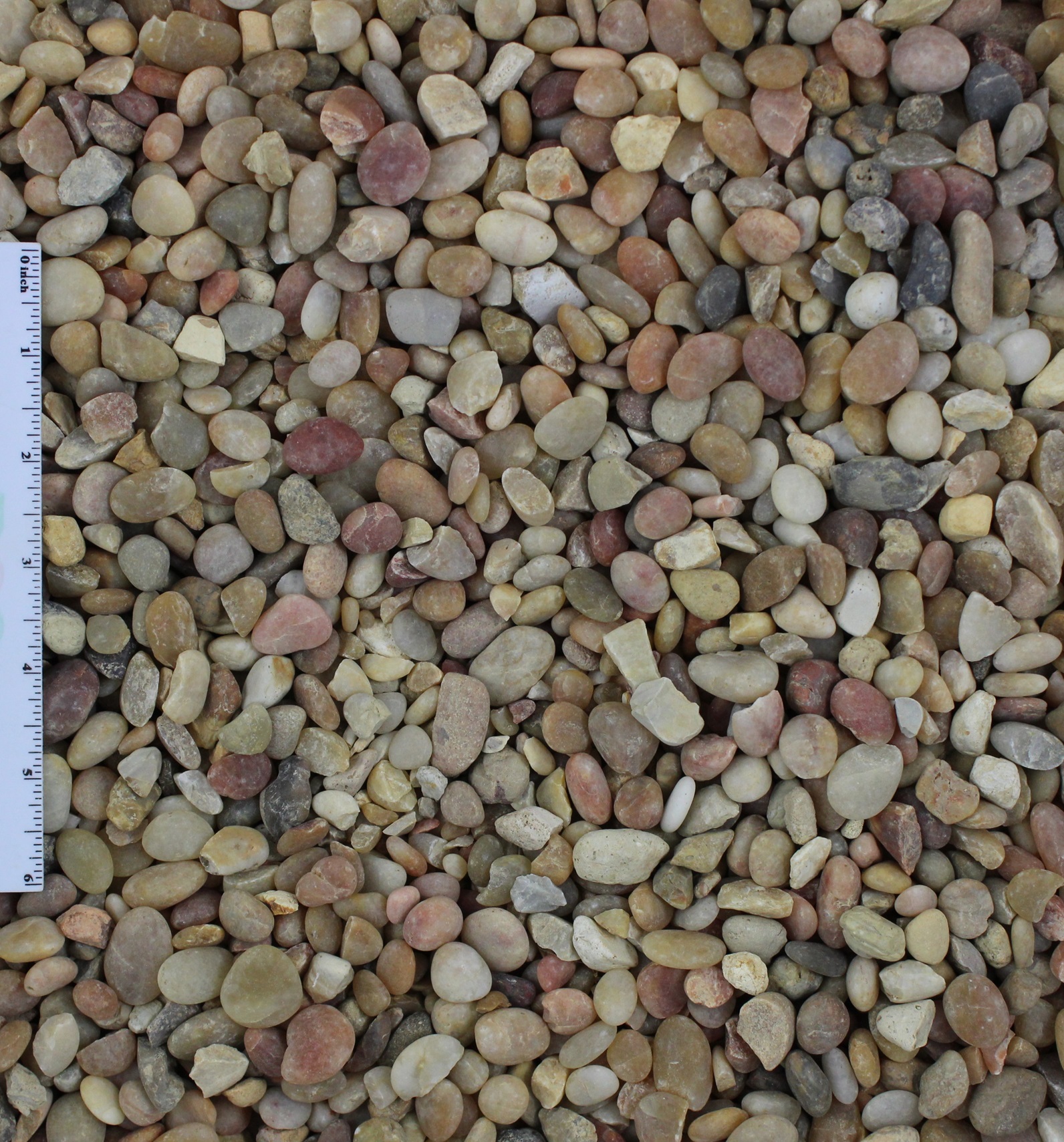 Salmon Bay Pebble 1/2